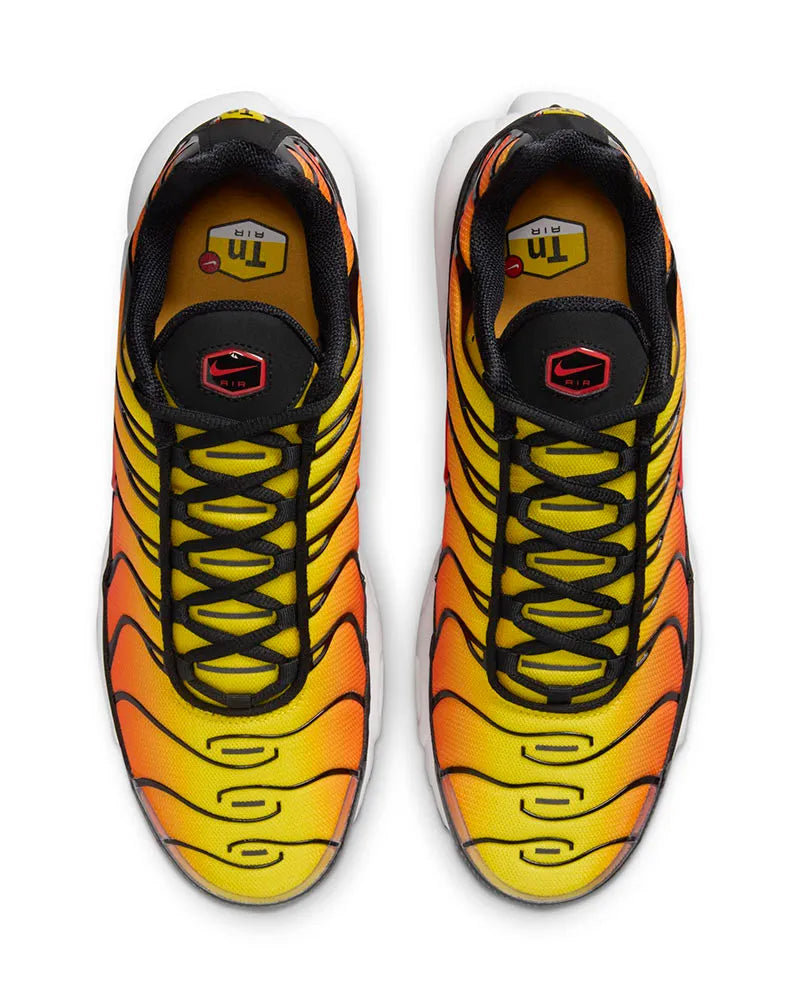 Air Max TN Plus "Sunset"